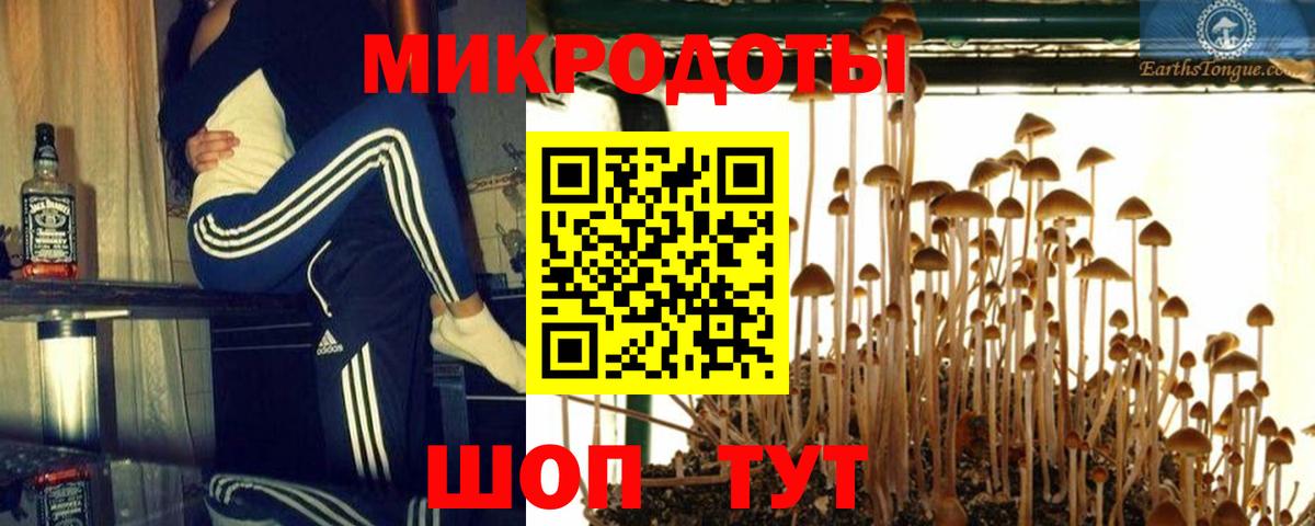 Псилоцибиновые грибы Cubensis Ишимбай